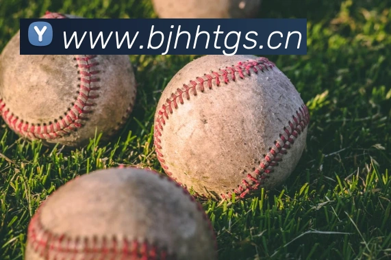 爱游戏官网登录平台APP 高清赛事图